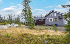 Nice Home In Sjusjøen With House A Mountain View